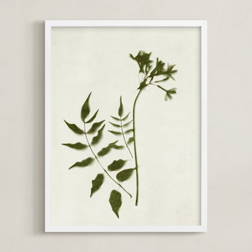 This is a verdant art by Kamala Nahas called foraged ii