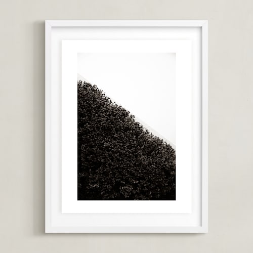 This is a sepia art by Sara Hicks Malone called verdant garden i