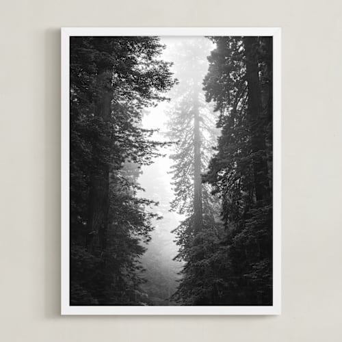 This is a black & whtie art with standard by Kamala Nahas called redwood morning