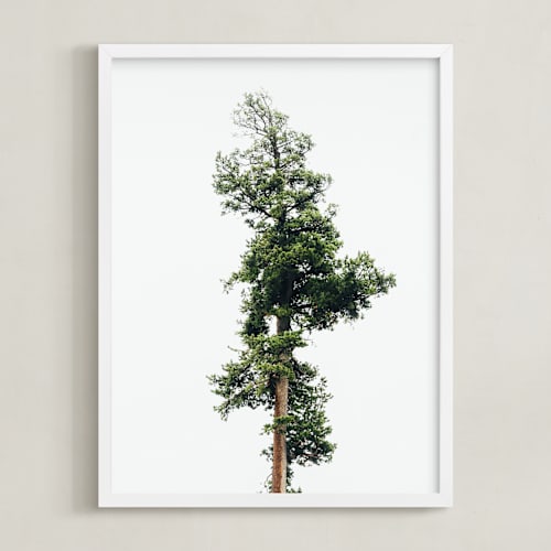 This is a spring rain art with standard by Kamala Nahas called solo