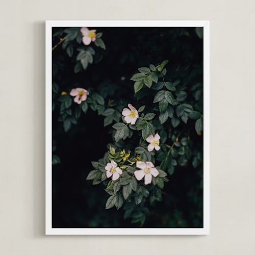 This is a deep green art by Hanke Arkenbout called moody white roses