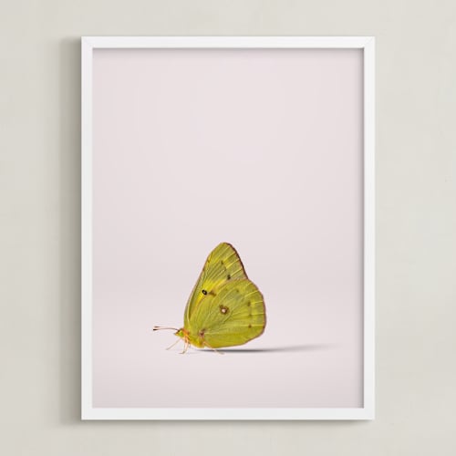 This is a dusty pink art by Andrew McClintock called tiny wings