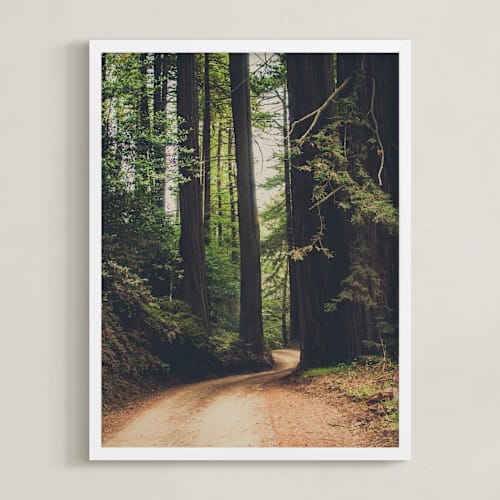 This is a forest brown art by Bente Jorgensen-Barajas called walk into the woods