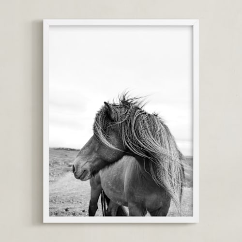 This is a icland wind kids wall art with standard by Ilze Lucero called a horse and the wind