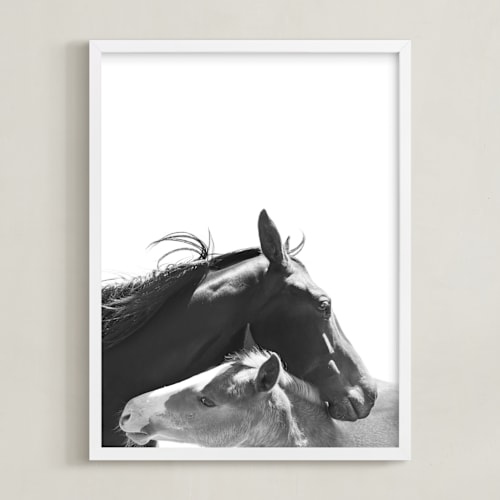 This is a charcoal art with standard by Anne Ciotola called foal