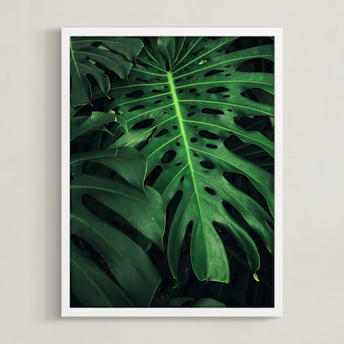 This is a rainforest art by Kamala Nahas called shaded 2