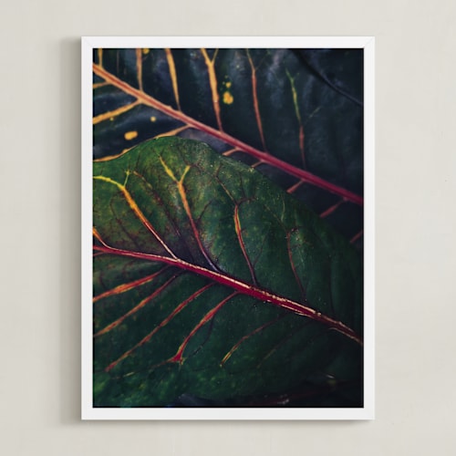 This is a rainforest art by Kamala Nahas called shaded 3