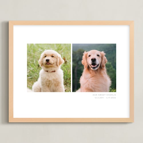 This is a white photo art by Anelle Mostert called two photo: landscape framed photo
