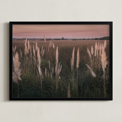This is a sunset art by Lucia Coppola called pampas grass
