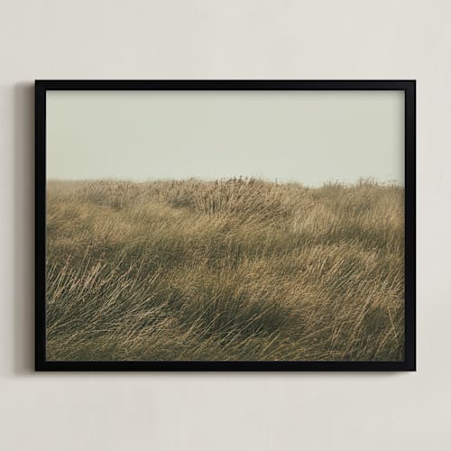This is a evergreen art by Lucia Coppola called immerse