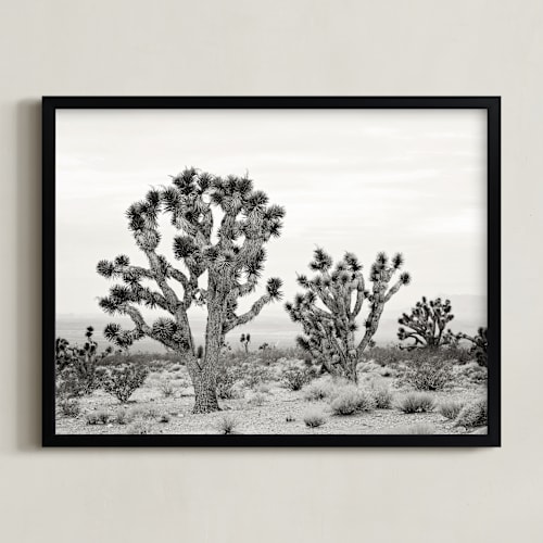 This is a joshua tree gray art by Kristi Jackson called joshua tree