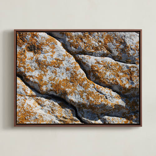 This is a curcuma art by Christiana Petschallies called mediterranean lichen