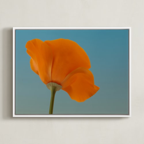 This is a california poppy orange art by Elena Kulikova called california poppy
