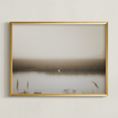 This is a wetland art by Lucia Coppola called fragile equilibrium