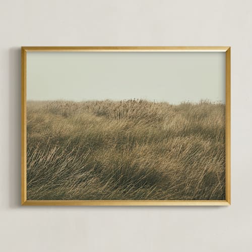 This is a evergreen art by Lucia Coppola called immerse