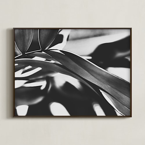 This is a black and white art by Amy Chapman Braun called glowing botanical ii