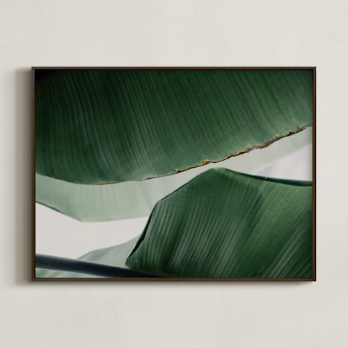 This is a white art by Alicia Abla called leaf & light 4