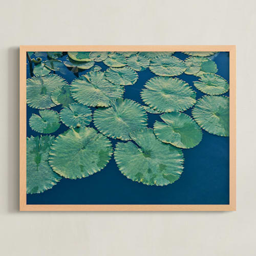 This is a lily pad art with standard by Jessica C Nugent called painted lily pads