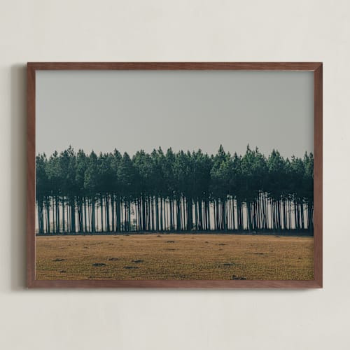 This is a pine art by Zani van Zyl called moody trees