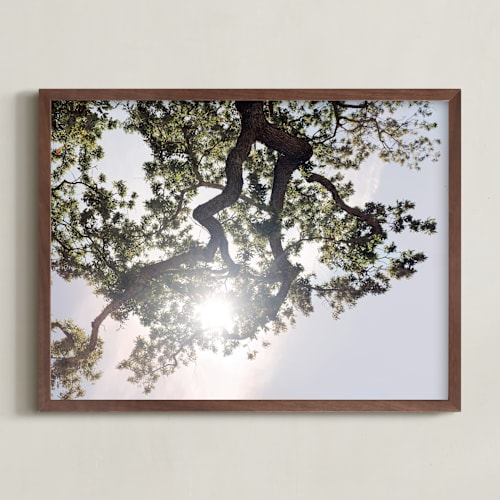This is a baby blue art by Wilder California called elegant oak tree