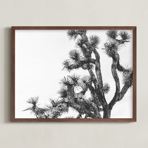 This is a charcoal art by Katie Doherty called joshua tree in september