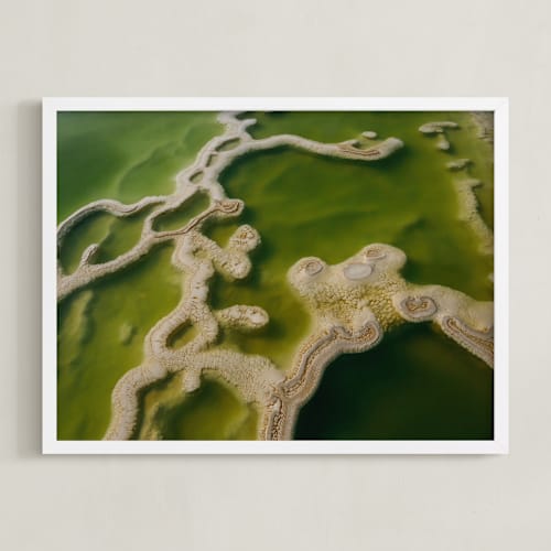 This is a lime art by Elena Kulikova called hierve el agua mexico