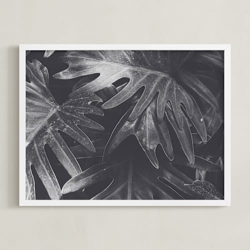 This is a tropical gray art by K.Short called tropical tori