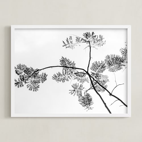 This is a black and white art by Kaitlin Rebesco called botanical silhouette