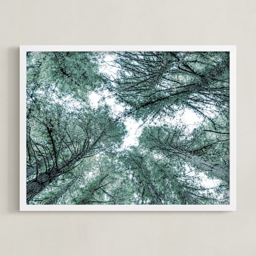 This is a forest green art by Jessica C Nugent called mystifying forest