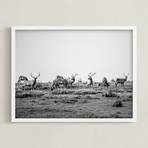 This is a black and white art by Crystal Lynn Collins called tule elk