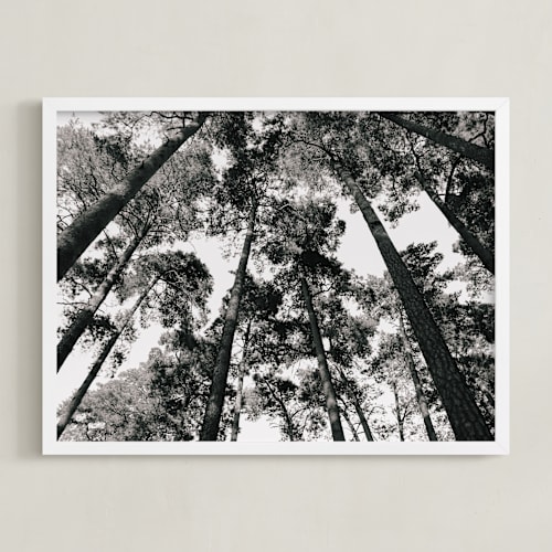 This is a black and white art by lulu and isabelle called in the woods