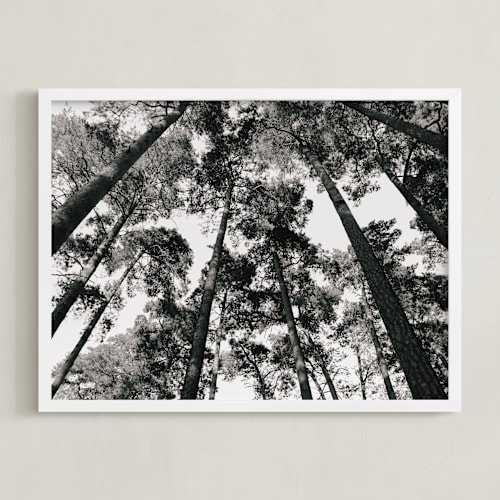 This is a black and white art by lulu and isabelle called in the woods