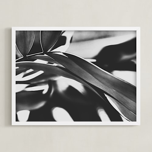 This is a black and white art by Amy Chapman Braun called glowing botanical ii