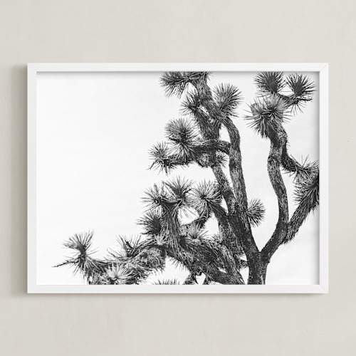 This is a charcoal art by Katie Doherty called joshua tree in september