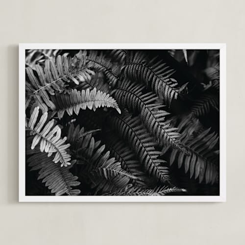 This is a black and white art by Eliane Lamb called ferns