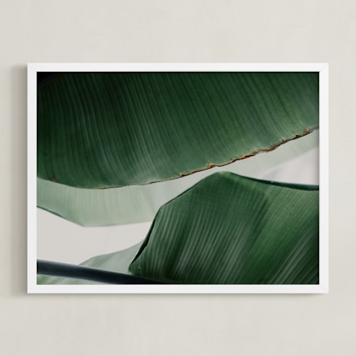This is a white art by Alicia Abla called leaf & light 4