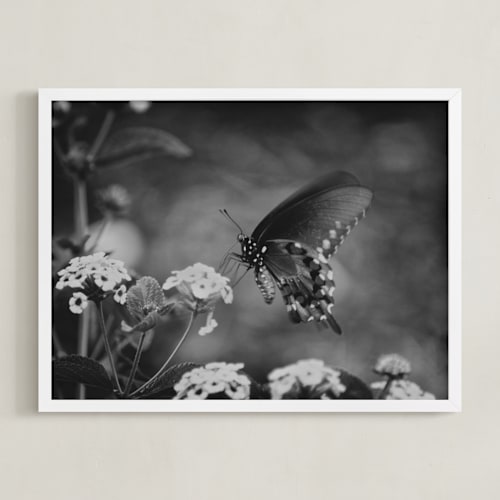 This is a black art by Donna Rosser called black swallowtail