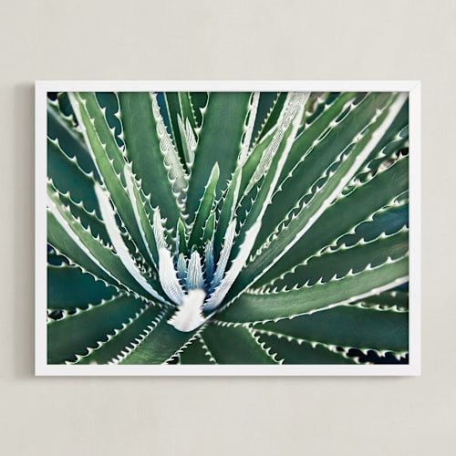 This is a aloe green art by Whitley Williams called botanical viiii