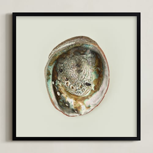 This is a natural art by Field and Sky called abalone shell