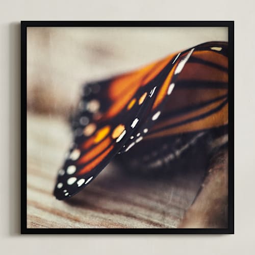 This is a monarch orange art by Stacy Kron called monarch study #2