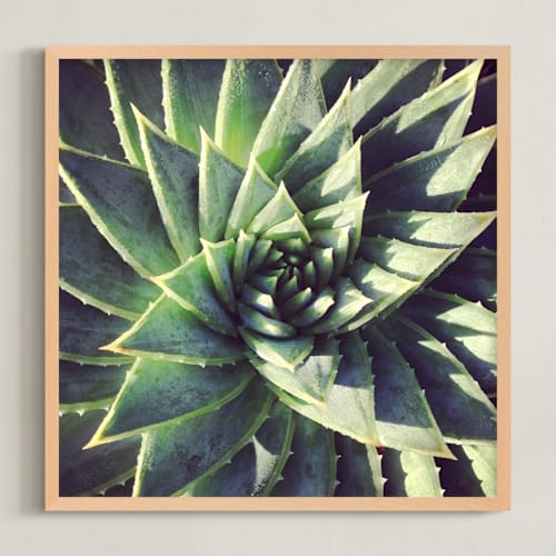 This is a agave green art by Paper Monkey Press called spiral