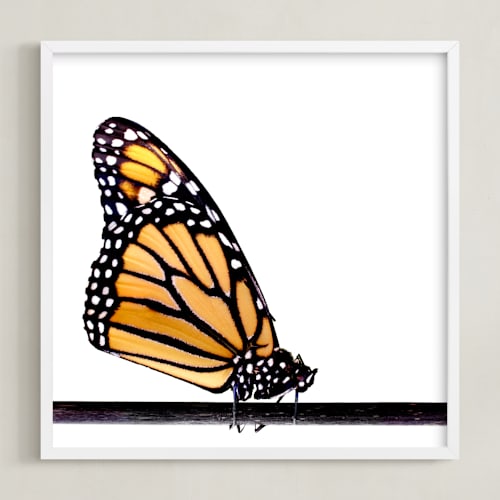 This is a monarch art by Jessie Steury called beautiful butterfly