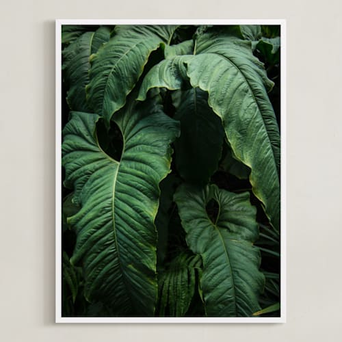 This is a emerald green art by Owl and Toad called the jungle room