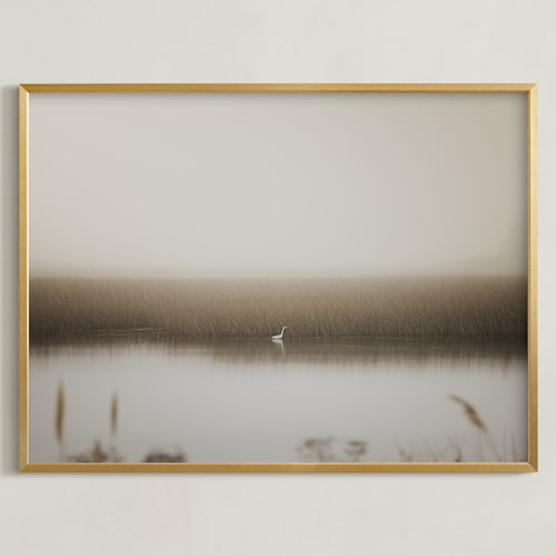 This is a wetland art by Lucia Coppola called fragile equilibrium