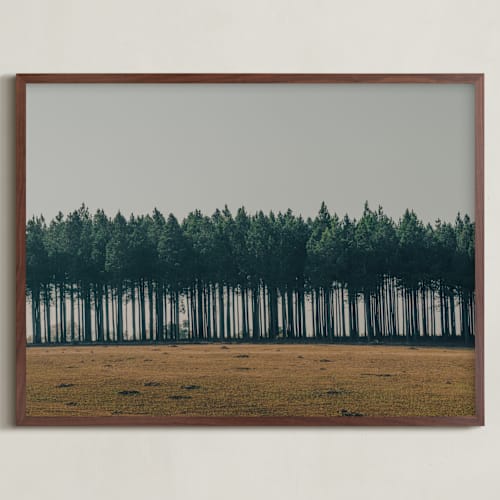 This is a pine art by Zani van Zyl called moody trees
