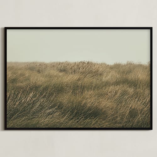 This is a evergreen art by Lucia Coppola called immerse