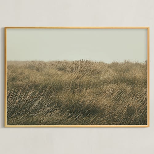 This is a evergreen art by Lucia Coppola called immerse