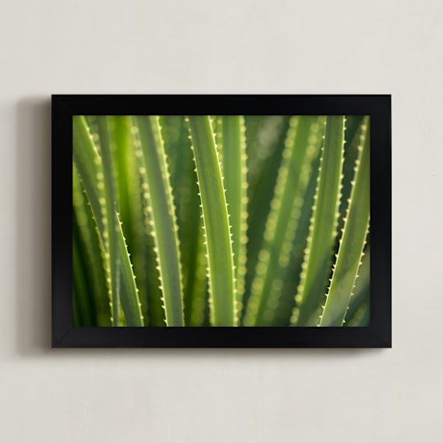 This is a aloe green art by Owl and Toad called that glow