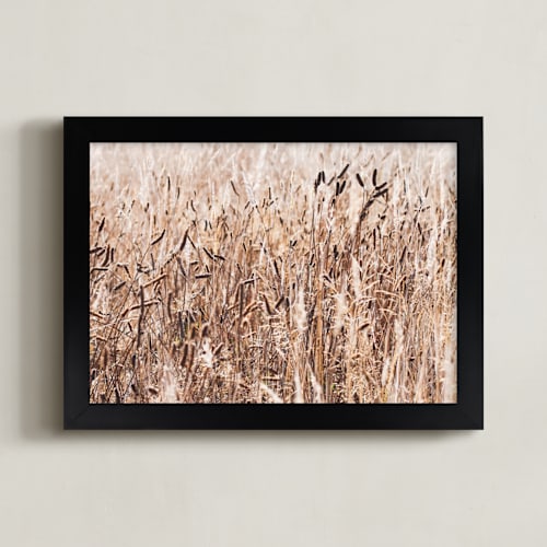This is a wheat art by Annie Montgomery called field of wheat