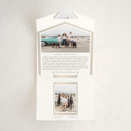 This is a snow all in one holiday cards with foil pressed by Snow and Ivy called drawn frame printing on value cover in all-in-one